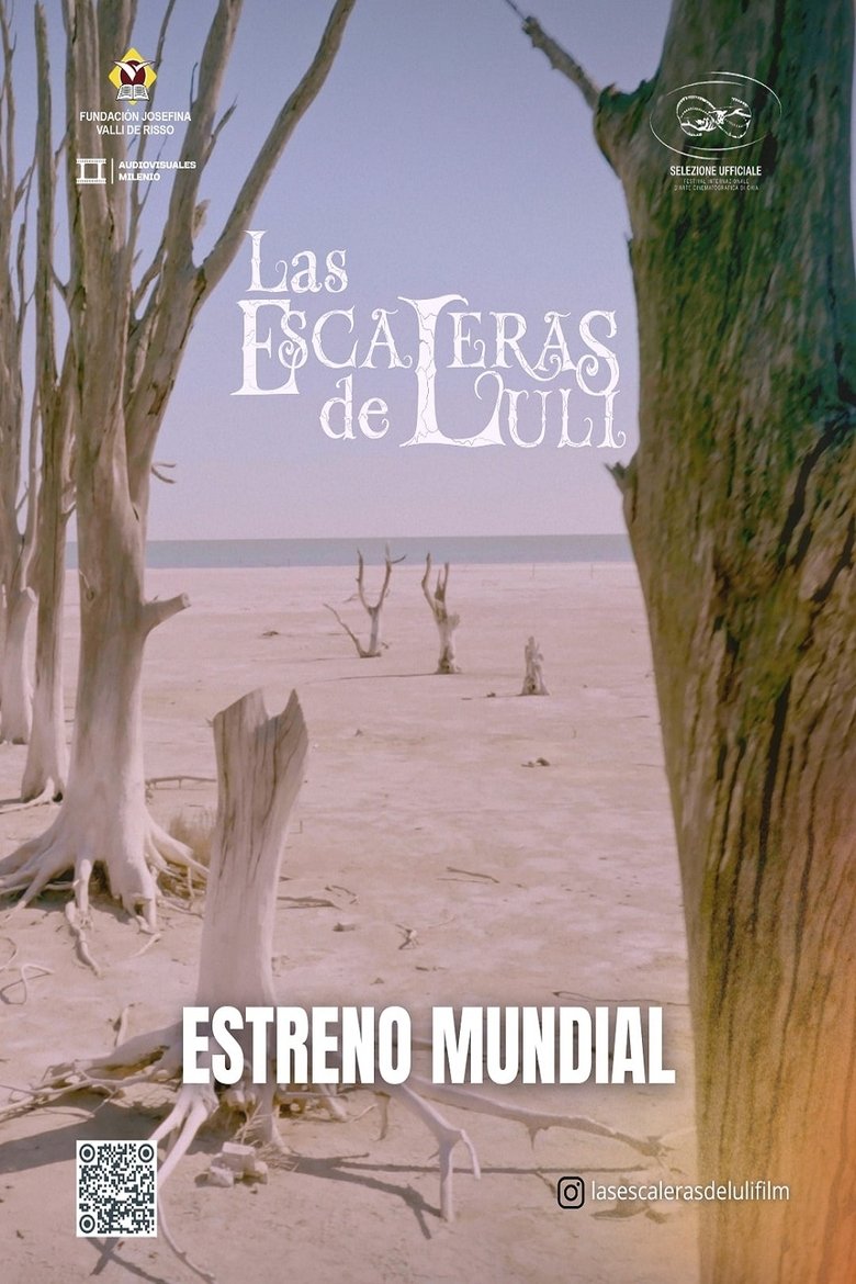 Poster of Luli's Stairs