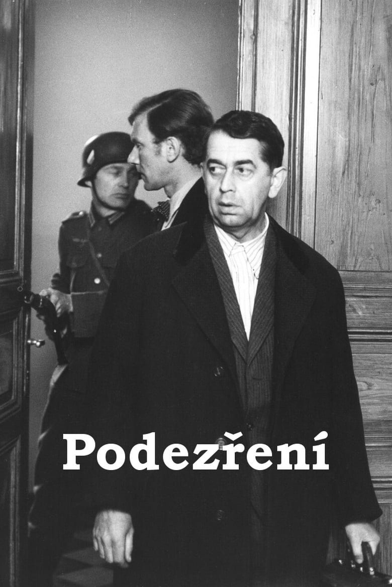 Poster of Podezření