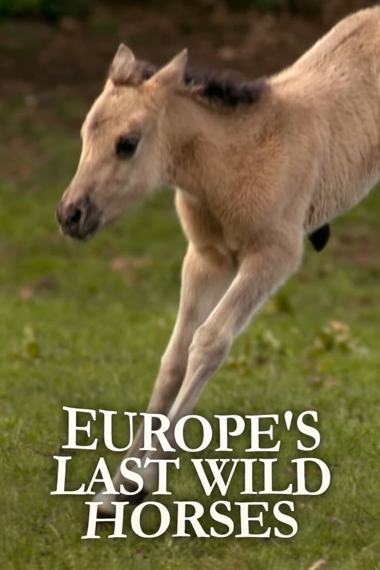 Poster of Europe's Last Wild Horses