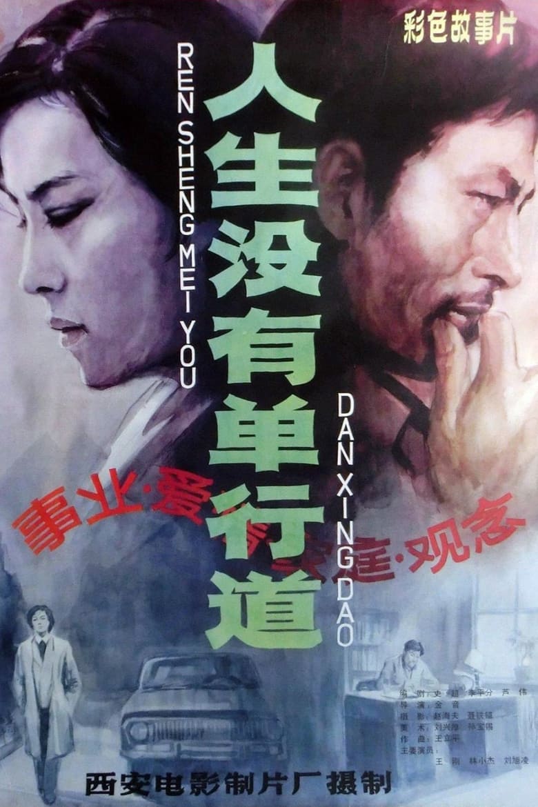 Poster of 人生没有单行道