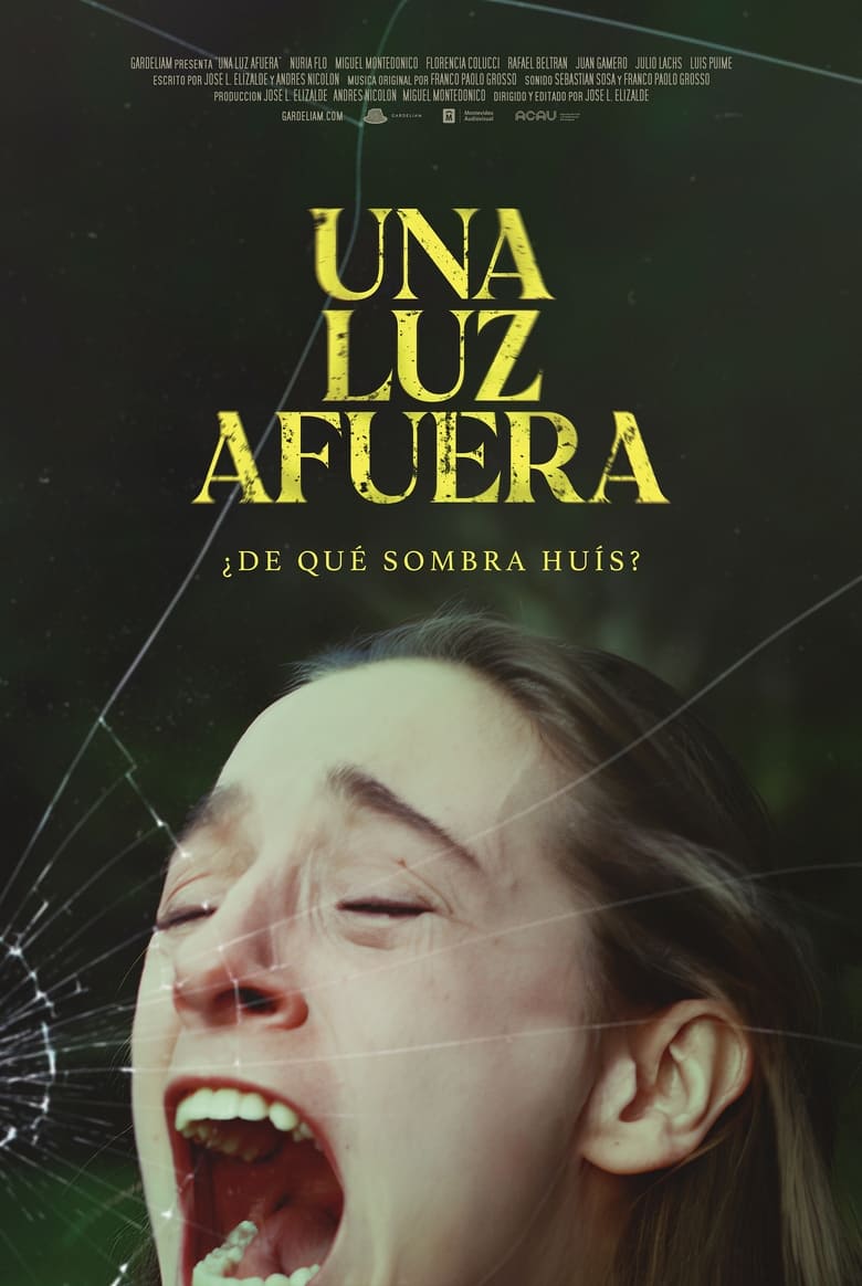 Poster of Una luz afuera