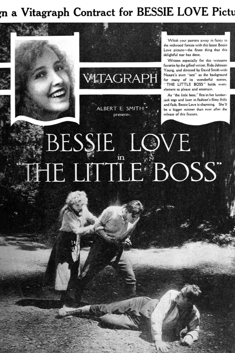 Poster of The Little Boss