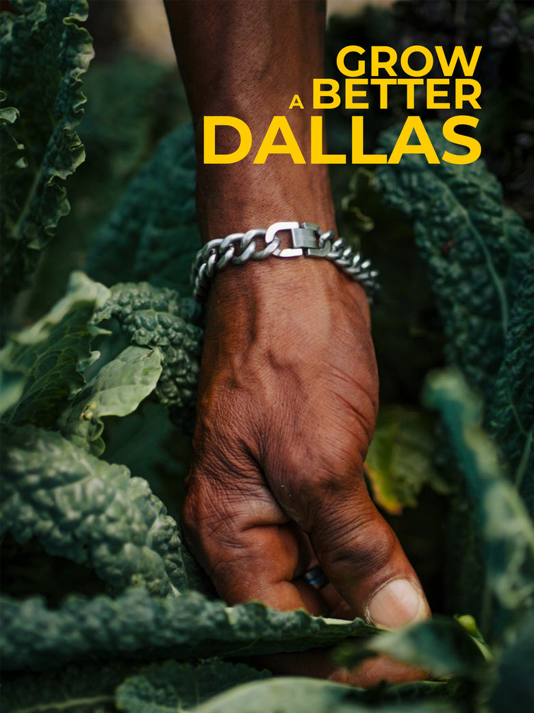 Poster of Grow a Better Dallas