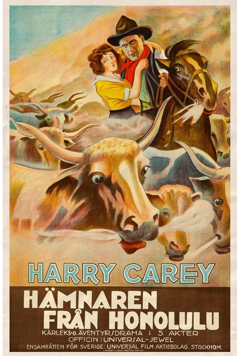 Poster of The Outlaw and the Lady