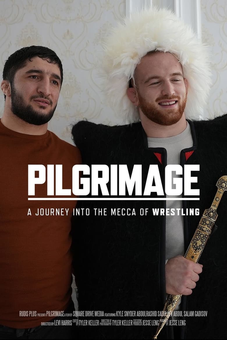 Poster of Pilgrimage