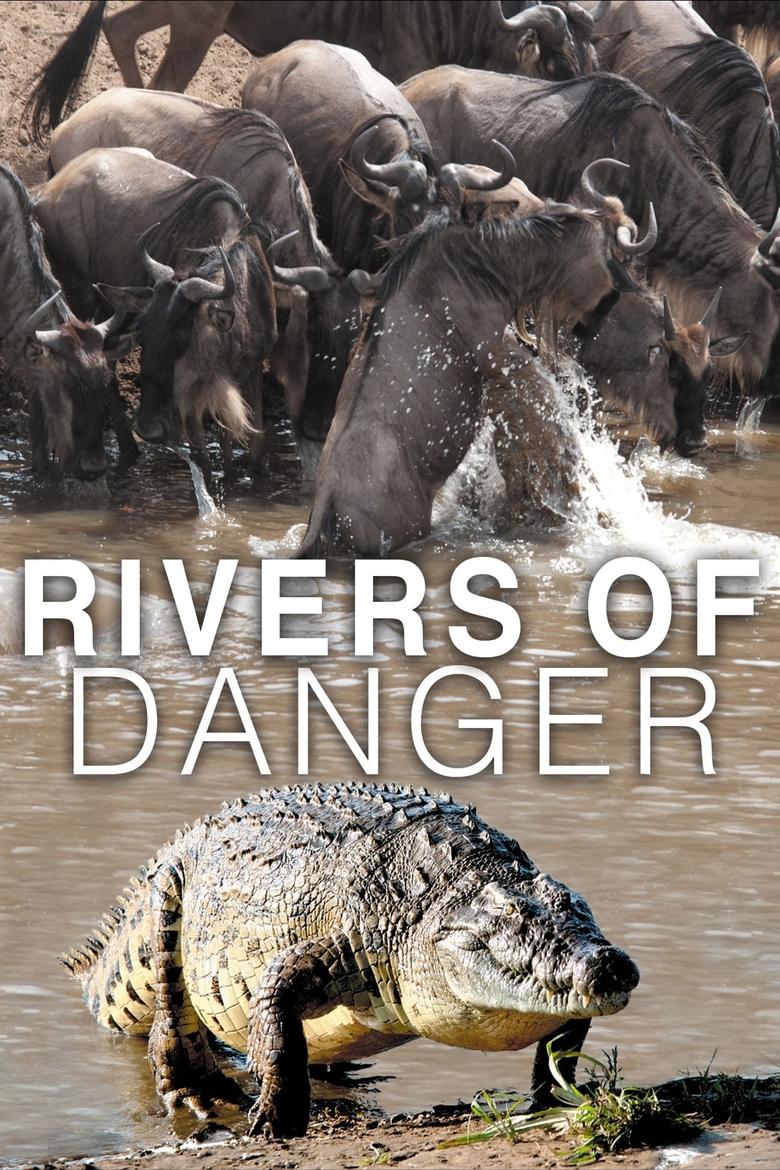 Poster of Rivers of Danger