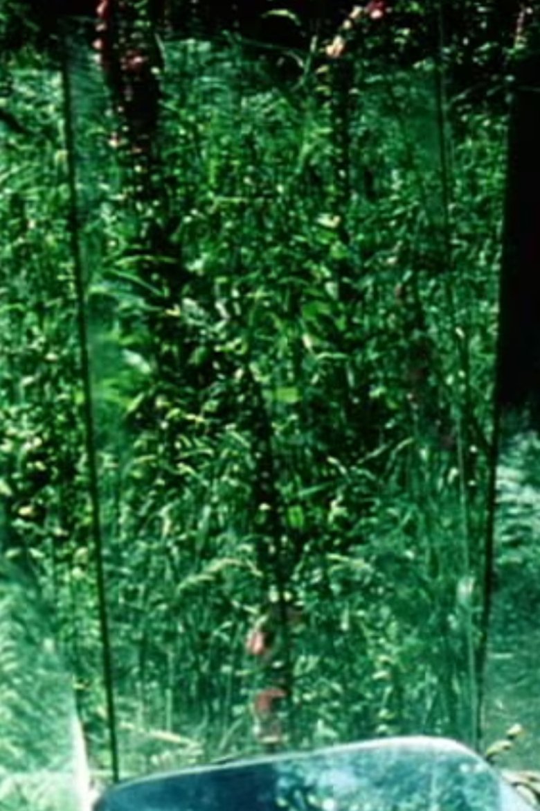 Poster of Peripeteia II