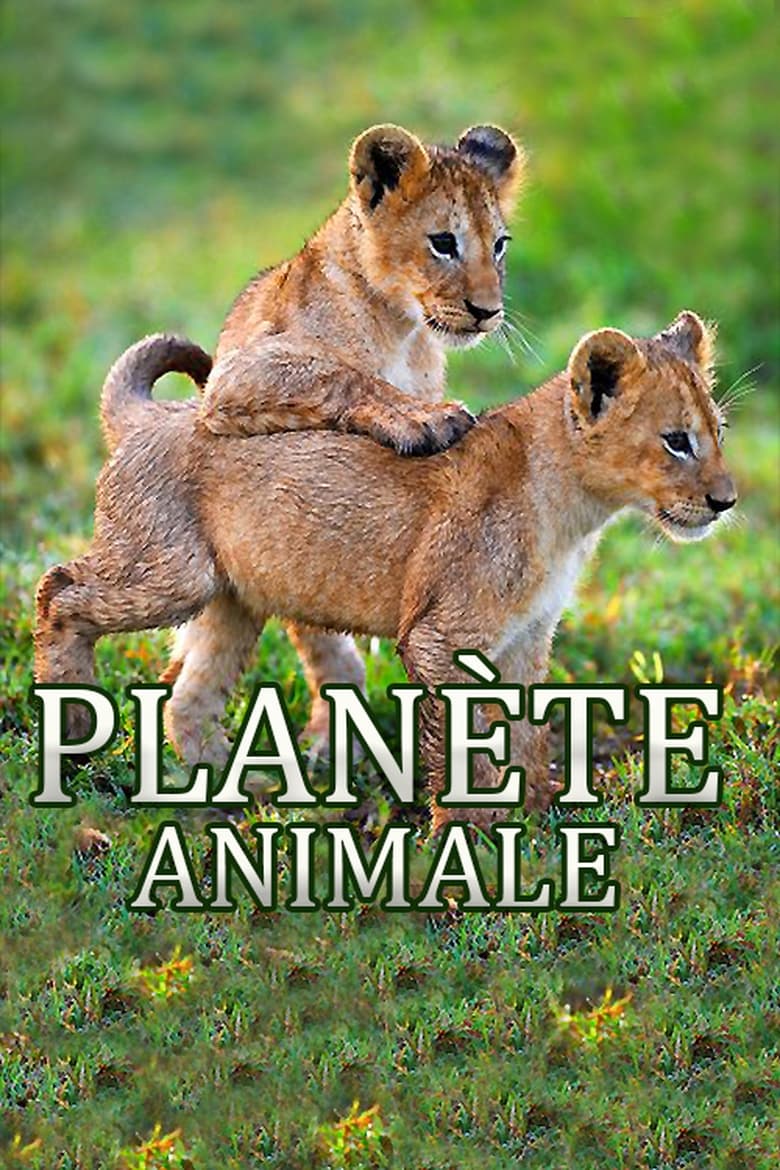 Poster of Animal Planet