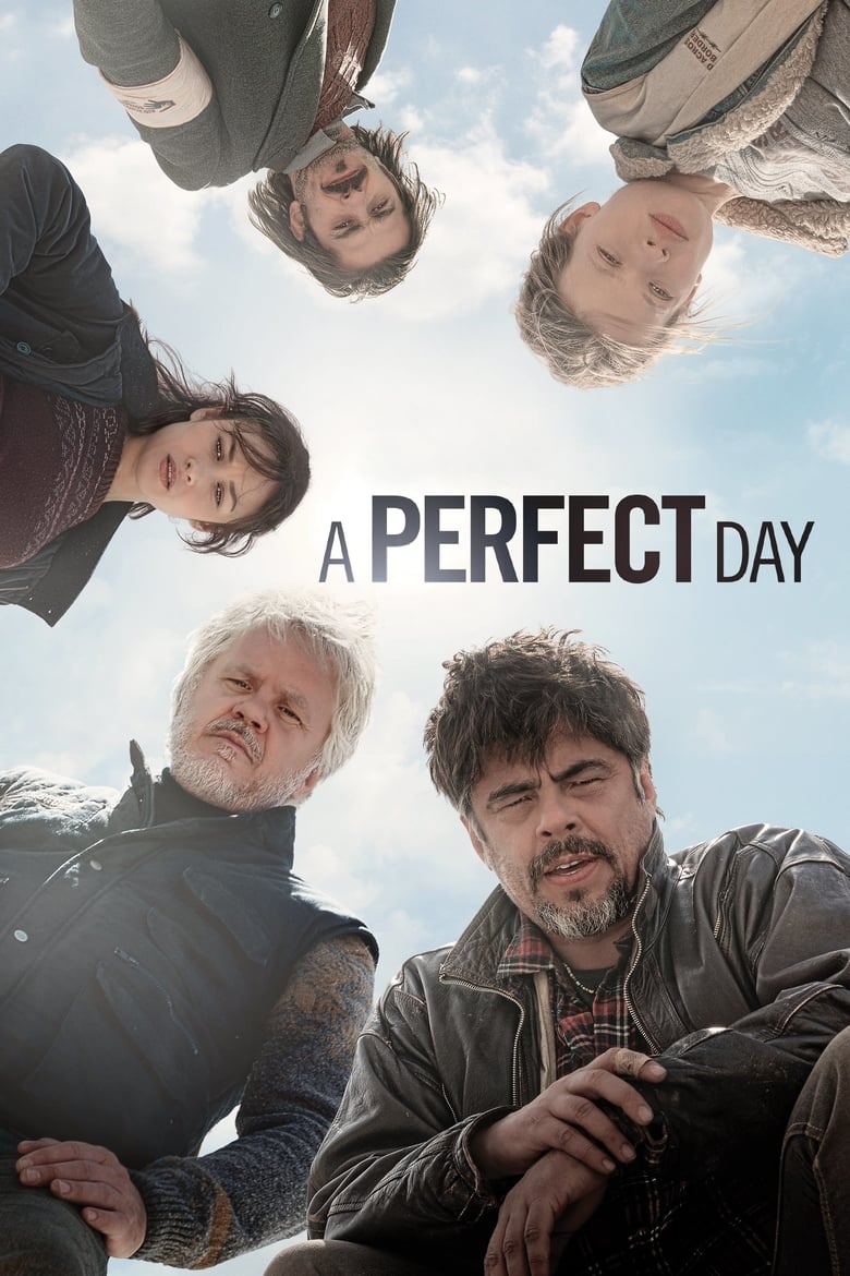 Poster of A Perfect Day