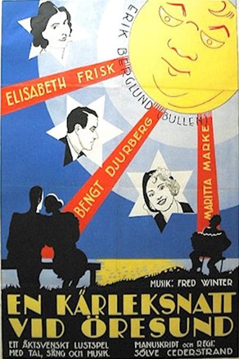 Poster of En kärleksnatt vid Öresund