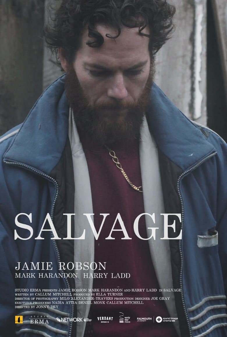 Poster of Salvage