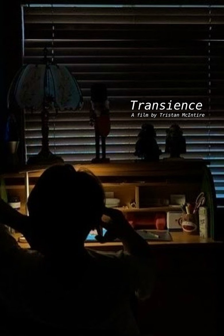 Poster of Transience