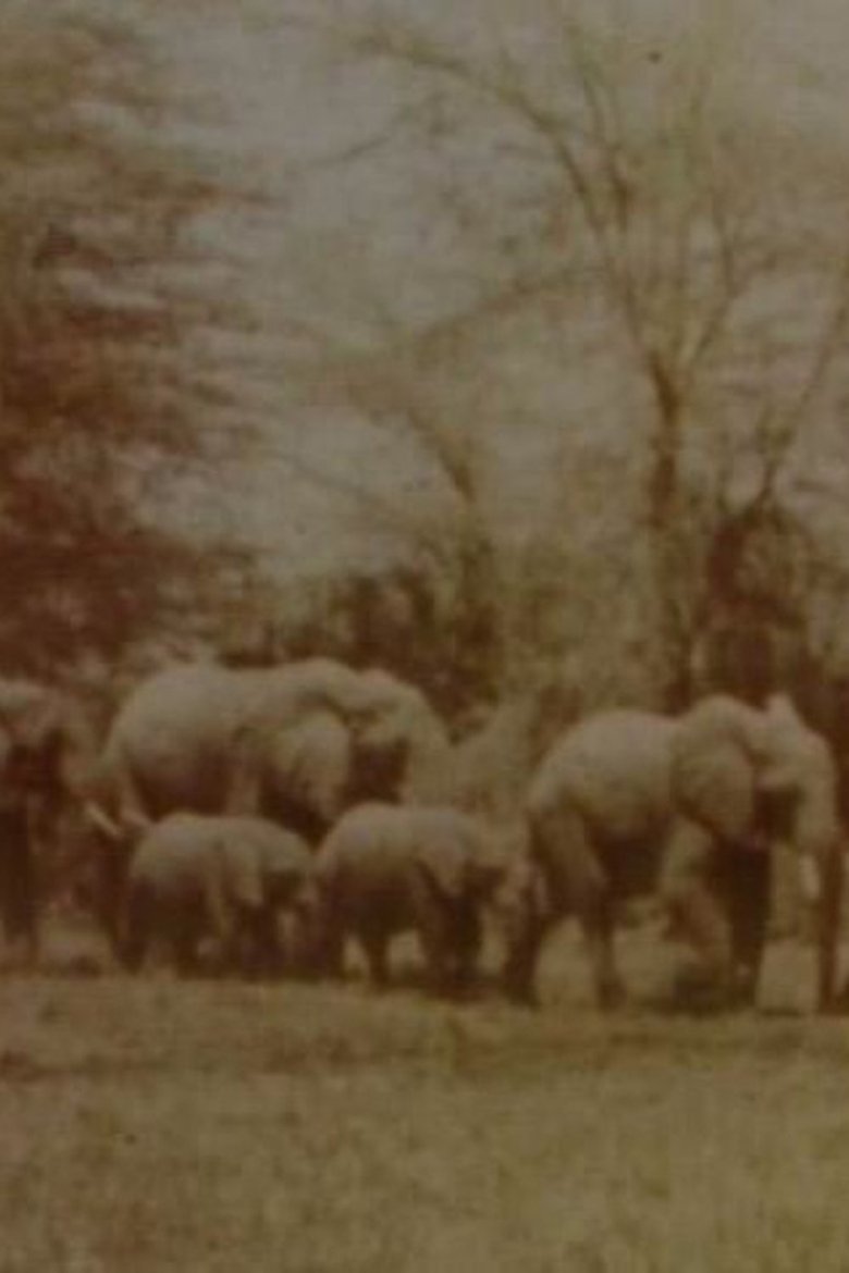 Poster of Elephants' Test
