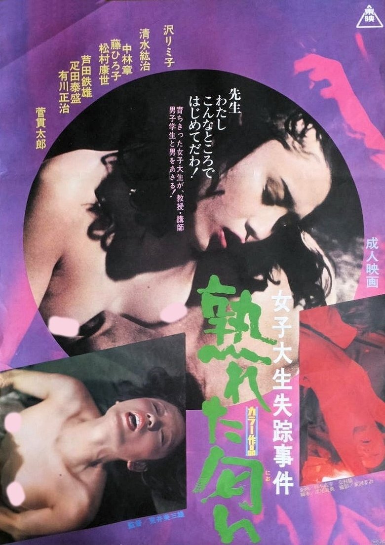 Poster of A College Girl's Affairs