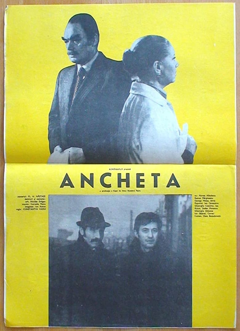 Poster of The Investigation