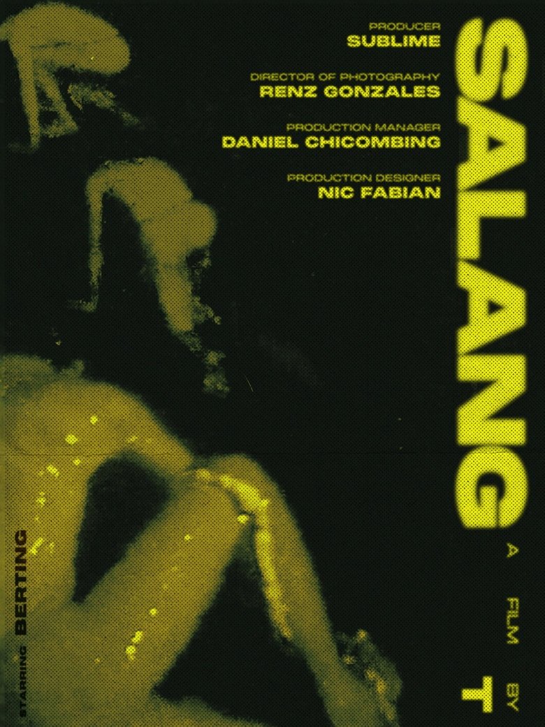Poster of Salang