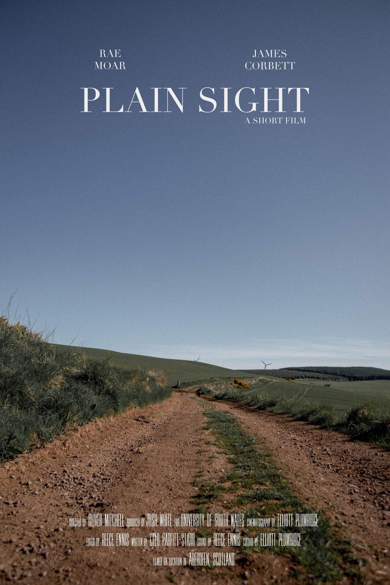 Poster of Plain Sight