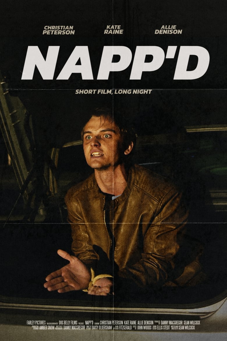 Poster of Napp'd