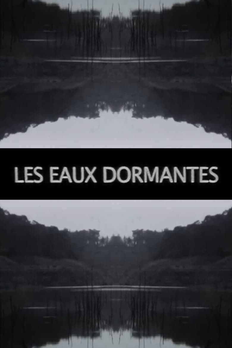 Poster of Les Eaux dormantes