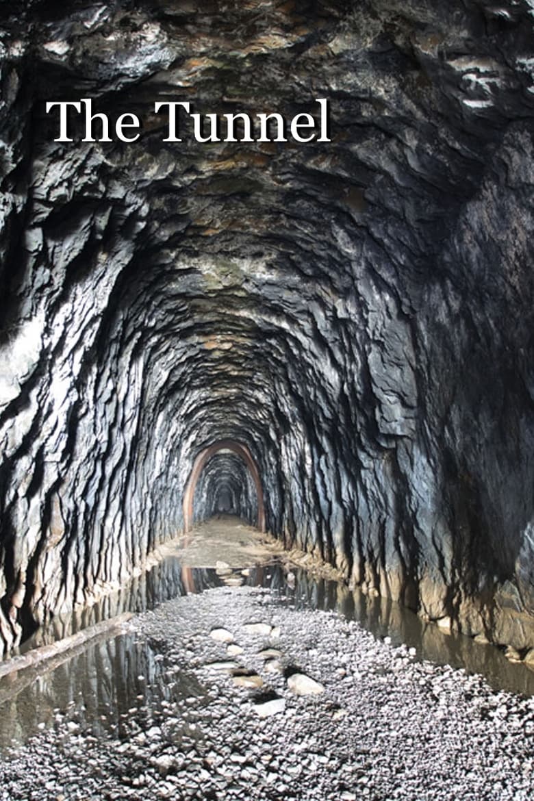 Poster of The Tunnel