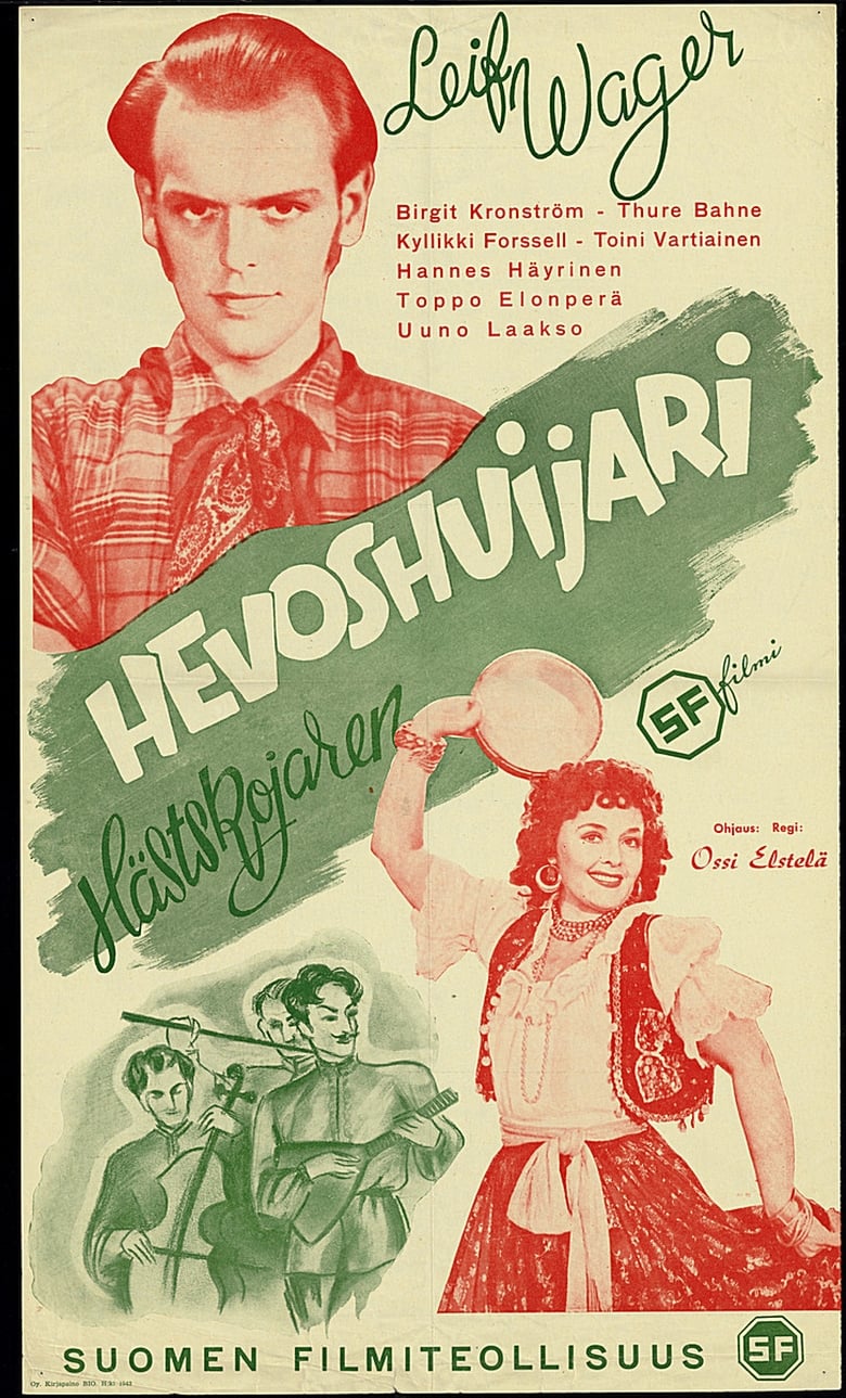 Poster of Hevoshuijari