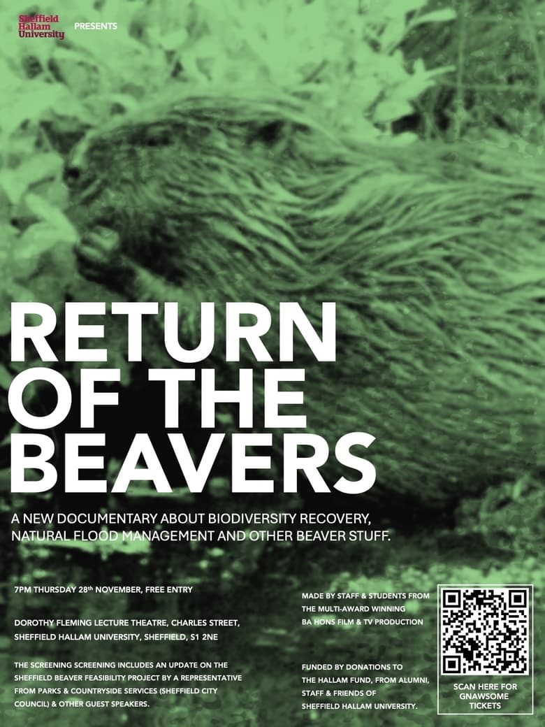 Poster of The Return of the Beavers