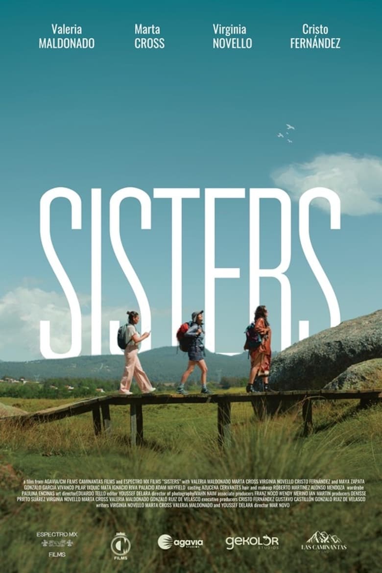 Poster of Sisters