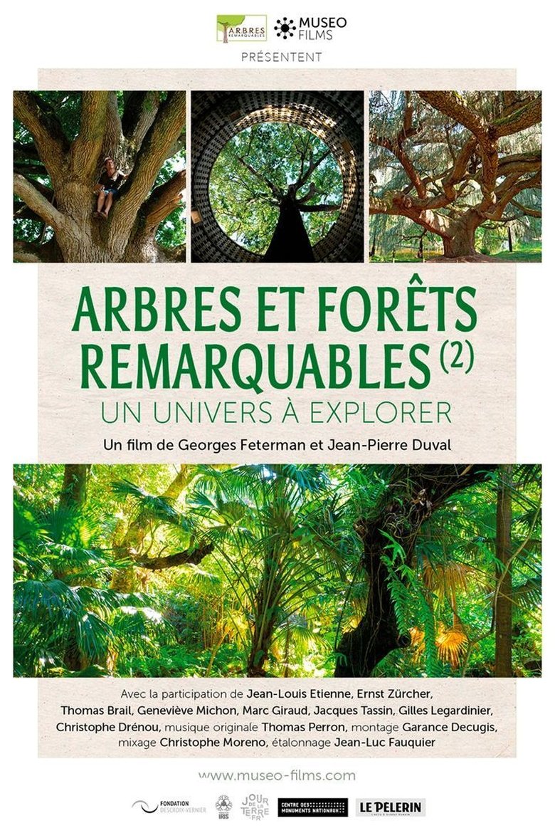 Poster of Arbres et forêts Remarquables, un univers à explorer