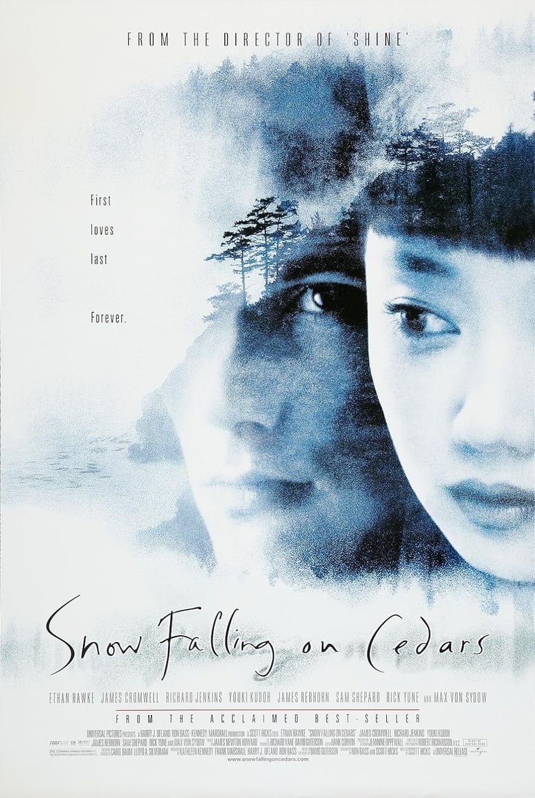 Poster of Snow Falling on Cedars