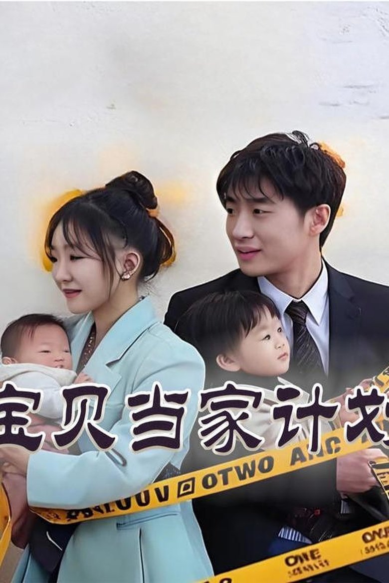 Poster of 宝贝当家计划