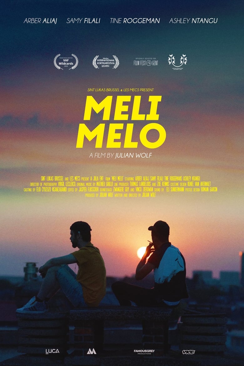 Poster of Meli Melo