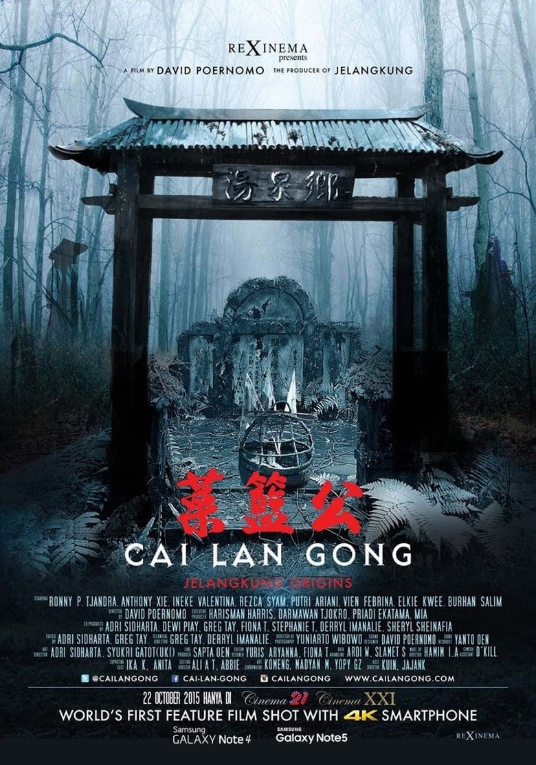 Poster of Cai Lan Gong