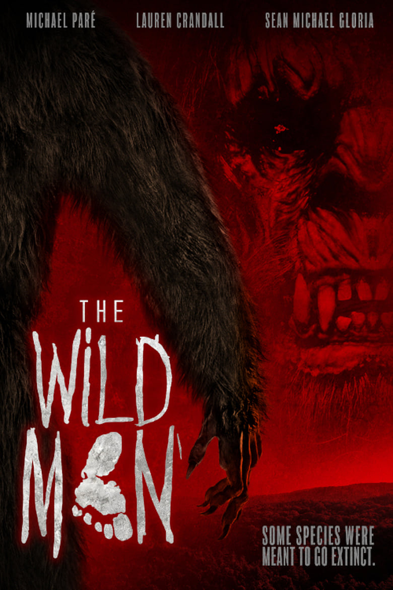 Poster of The Wild Man