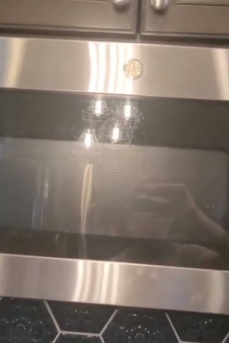Poster of Microwave: the movie