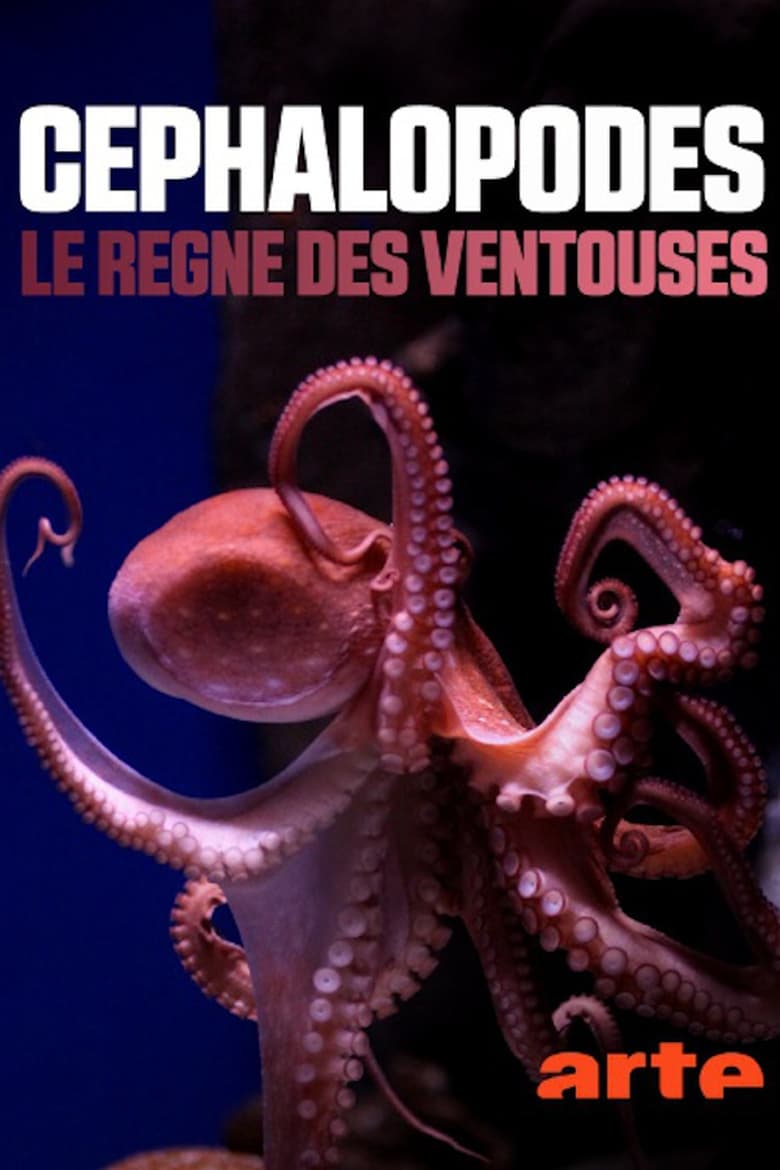 Poster of Cephalopods: The Reign of Suckers