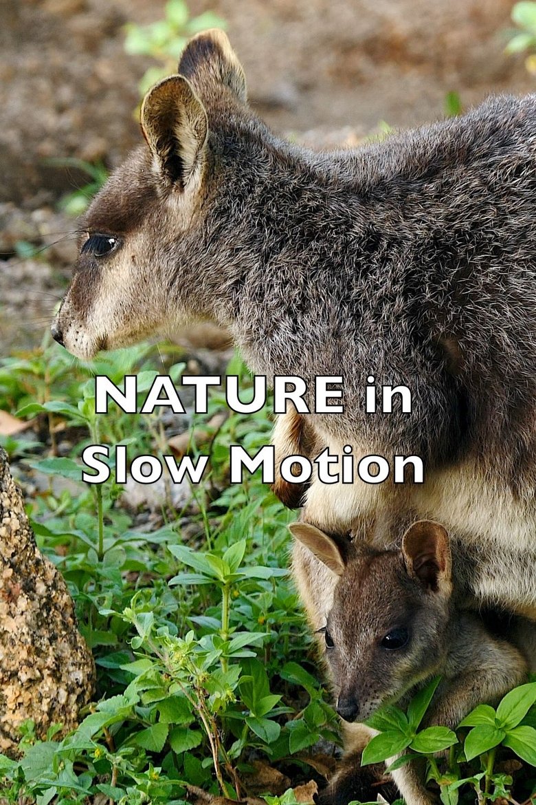 Poster of Nature In Slow Motion