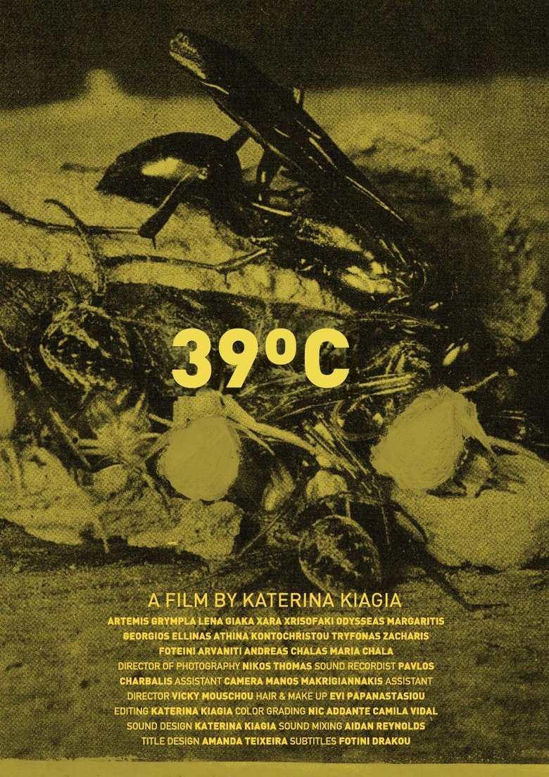Poster of 39ºC