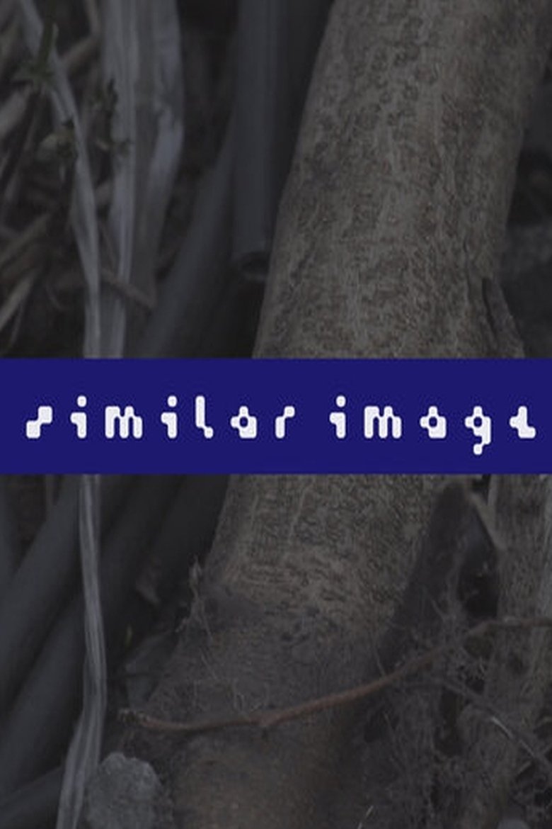 Poster of Similar Image