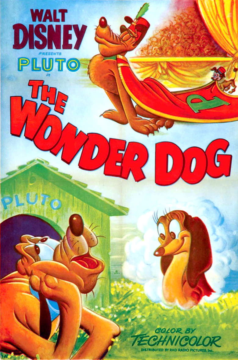 Poster of Wonder Dog