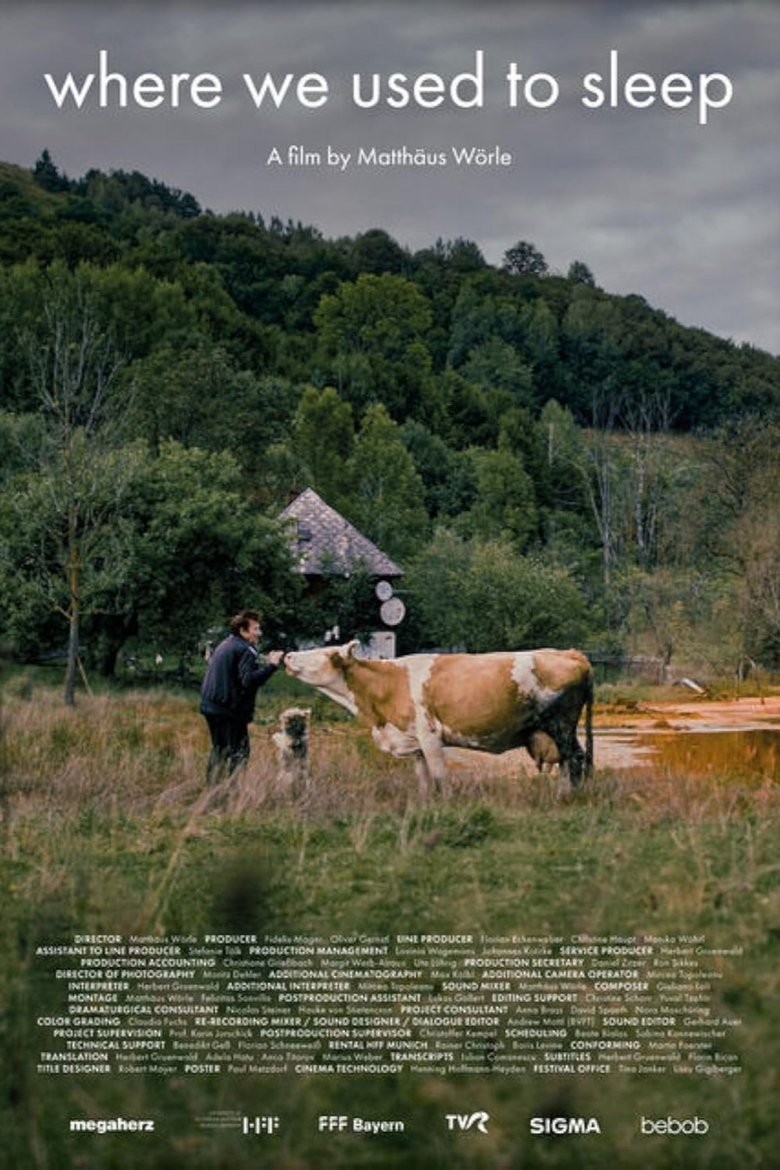 Poster of Where We Used to Sleep