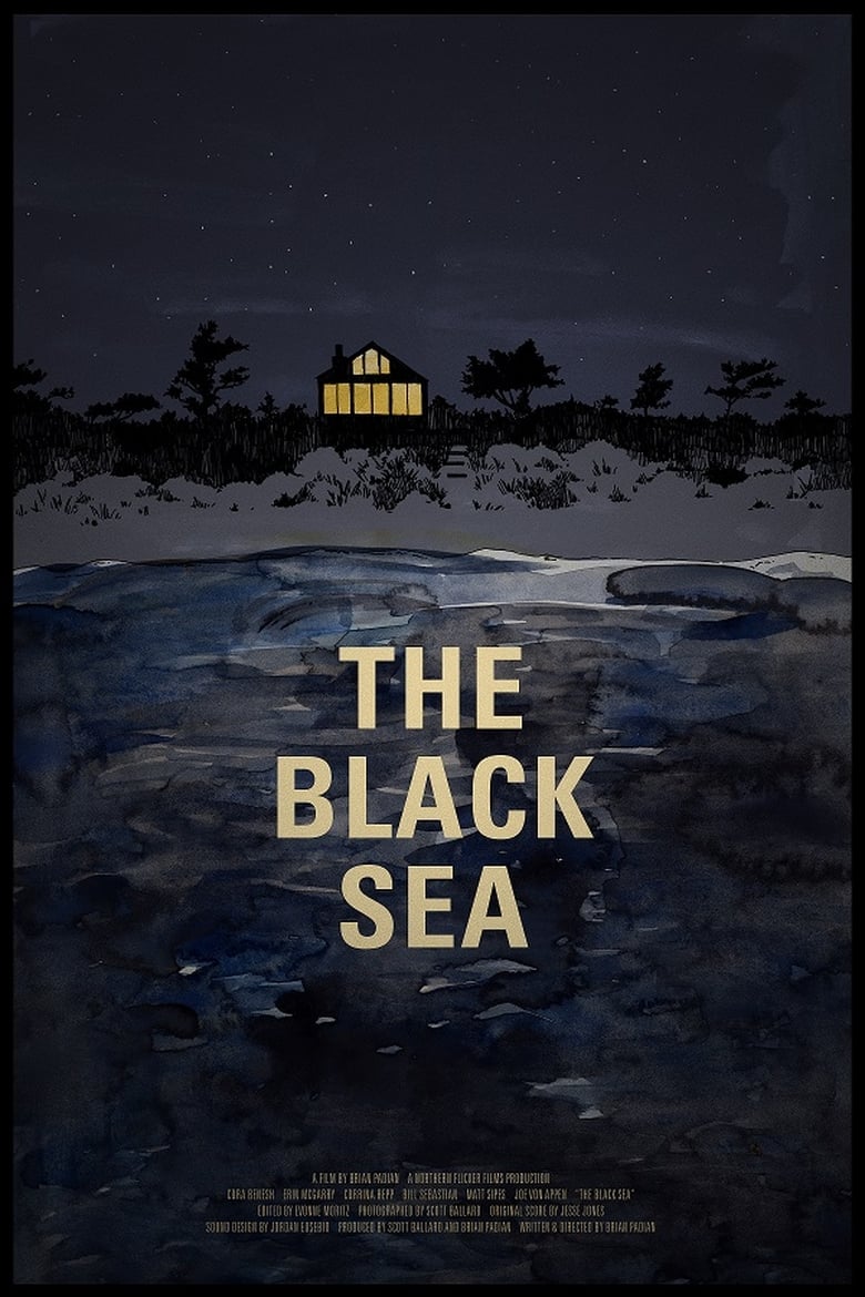 Poster of The Black Sea