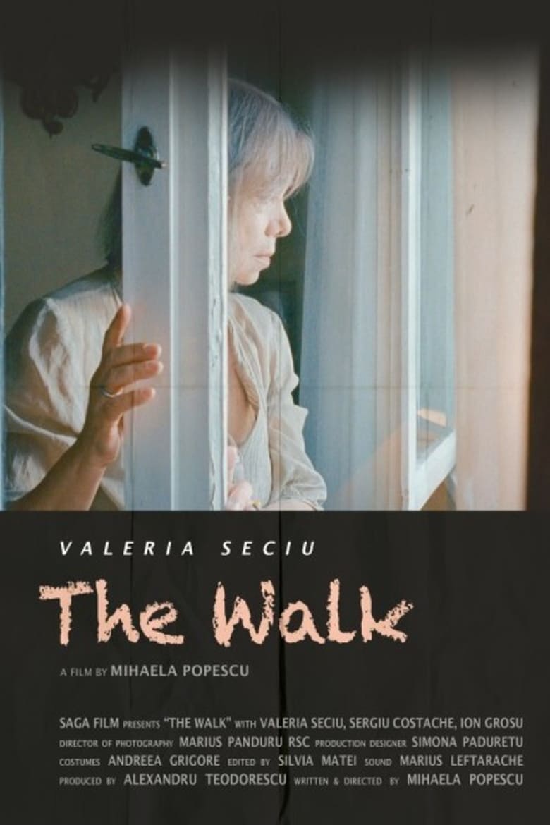 Poster of The Walk