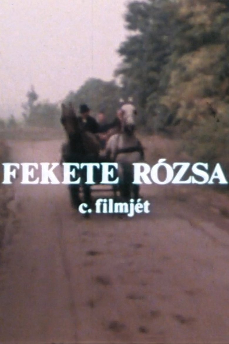 Poster of Fekete rózsa
