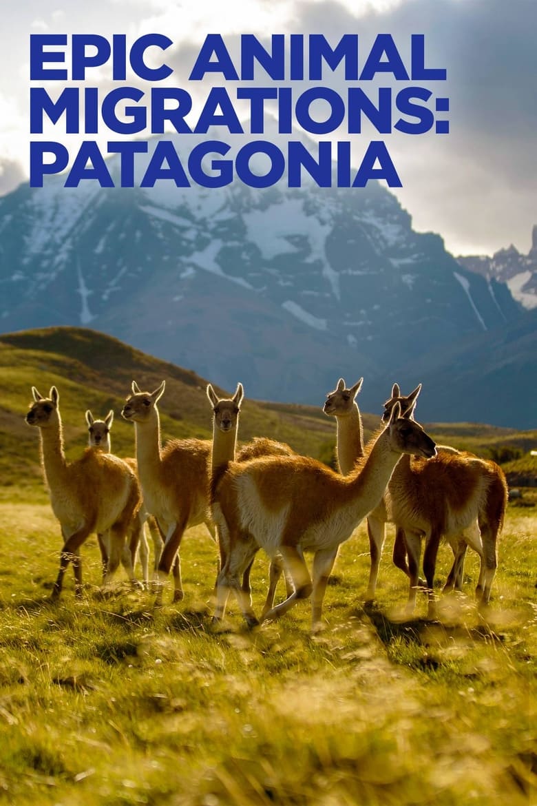 Poster of Epic Animal Migrations: Patagonia