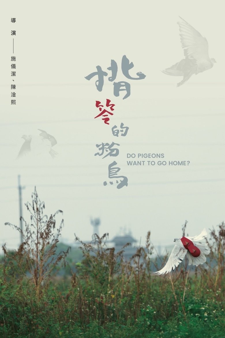 Poster of Do Pigeons Want to Go Home?