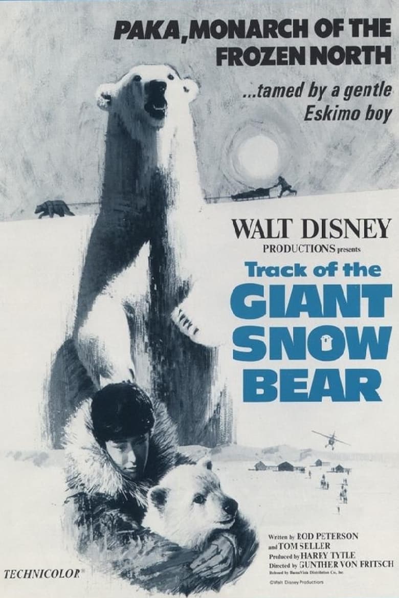 Poster of Snow Bear