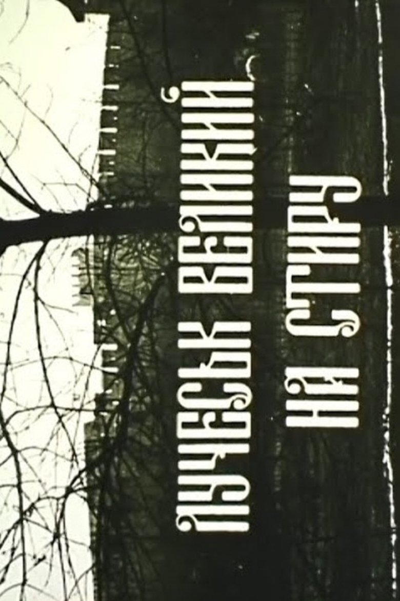 Poster of Luchesk is Large on the Styr River