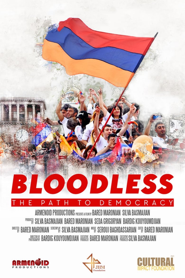 Poster of Bloodless: The Path to Democracy