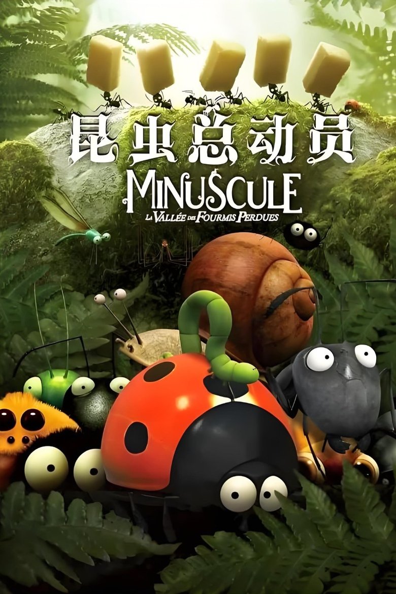 Poster of Episodes in 小灯塔系列 - Season 55 - Season 55