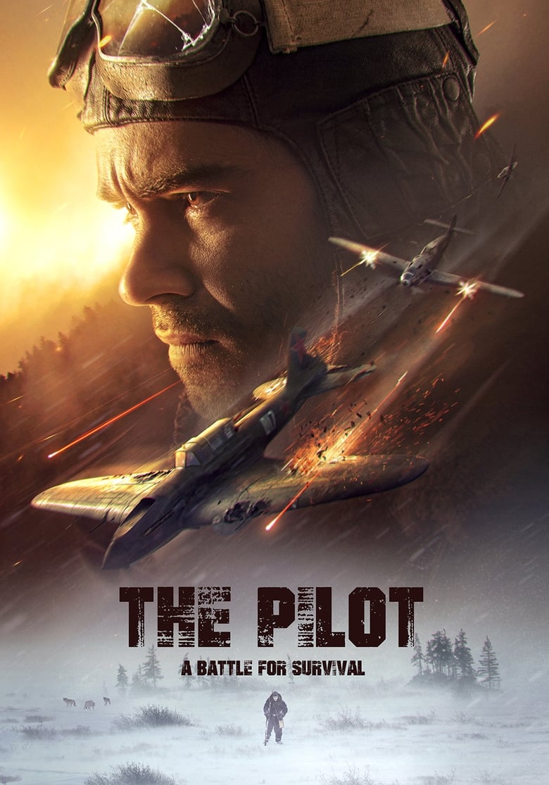 Poster of The Pilot: A Battle for Survival